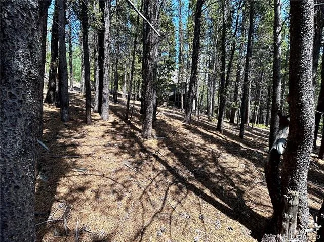 230 Harris Drive Idaho Springs, CO 80452