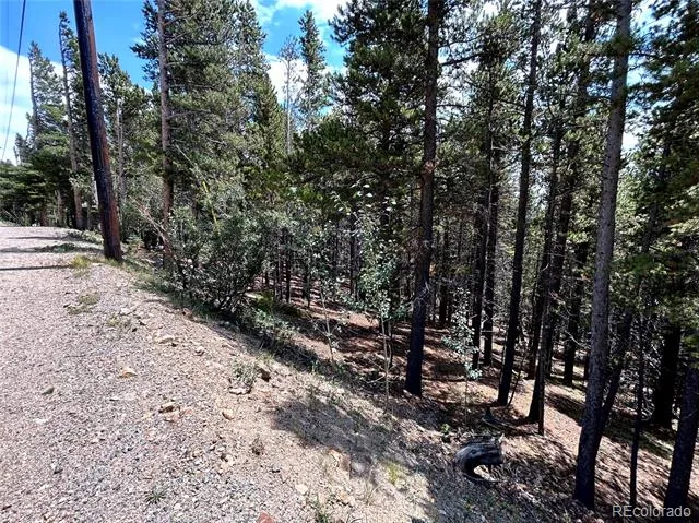 230 Harris Drive Idaho Springs, CO 80452