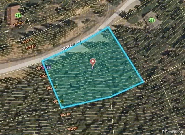 230 Harris Drive Idaho Springs, CO 80452