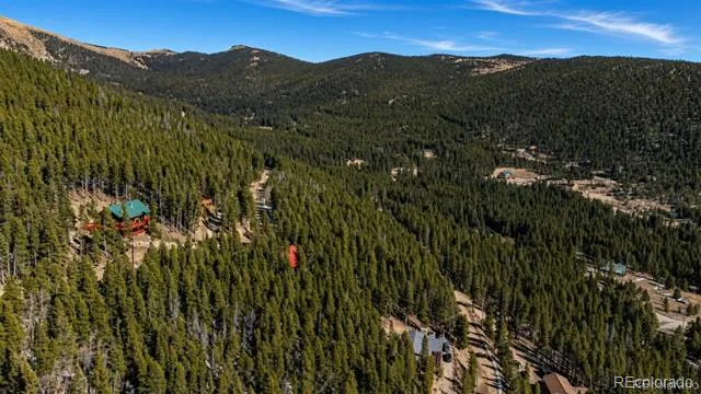 230 Harris Drive Idaho Springs, CO 80452