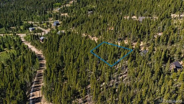 230 Harris Drive Idaho Springs, CO 80452