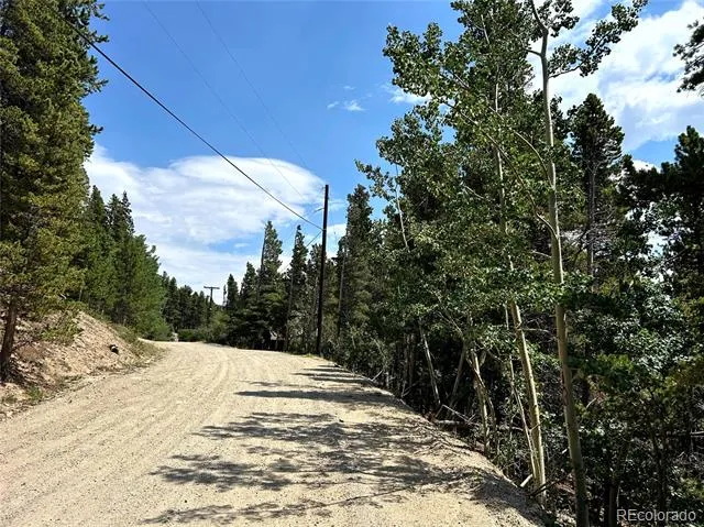 230 Harris Drive Idaho Springs, CO 80452