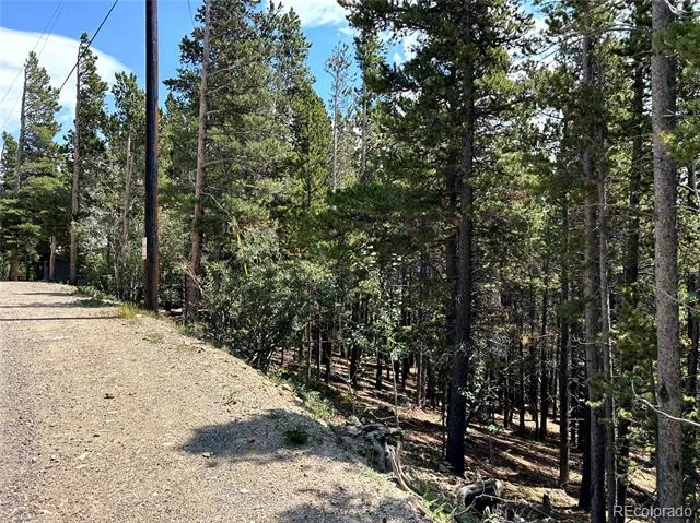 230 Harris Drive Idaho Springs, CO 80452