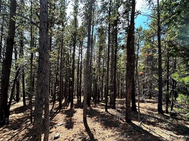230 Harris Drive Idaho Springs, CO 80452
