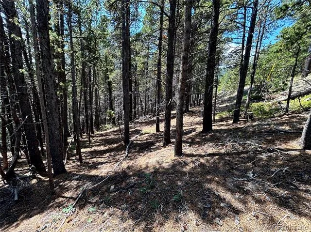 230 Harris Drive Idaho Springs, CO 80452
