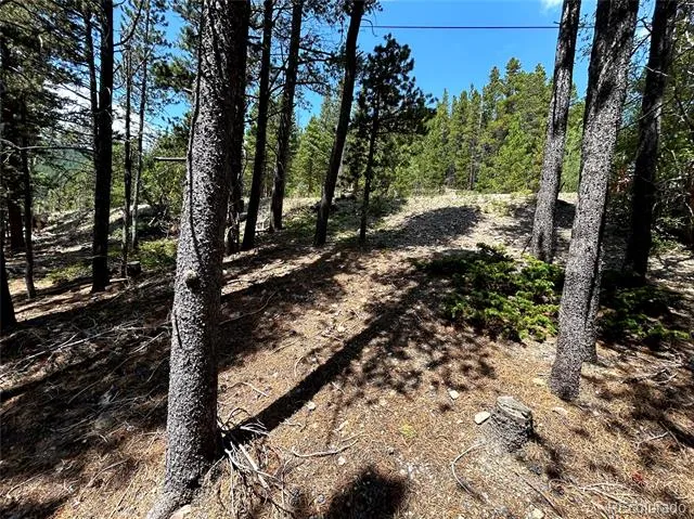 230 Harris Drive Idaho Springs, CO 80452