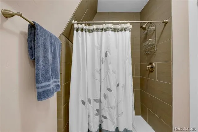 2554 Clear Creek Road Hartsel, CO 80449