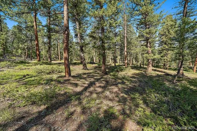 0 Evergreen Drive Conifer, CO 80433