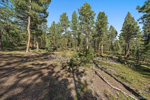 0 Evergreen Drive Conifer, CO 80433