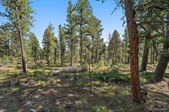 0 Evergreen Drive Conifer, CO 80433