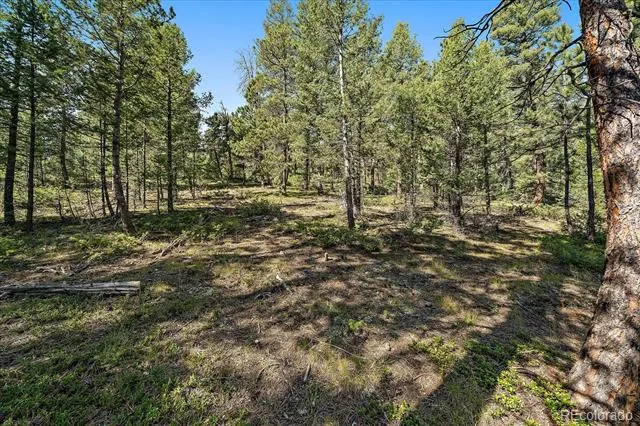 0 Evergreen Drive Conifer, CO 80433