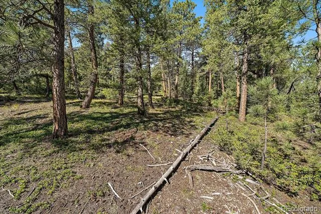 0 Evergreen Drive Conifer, CO 80433