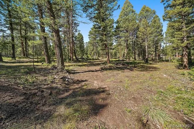 0 Evergreen Drive Conifer, CO 80433