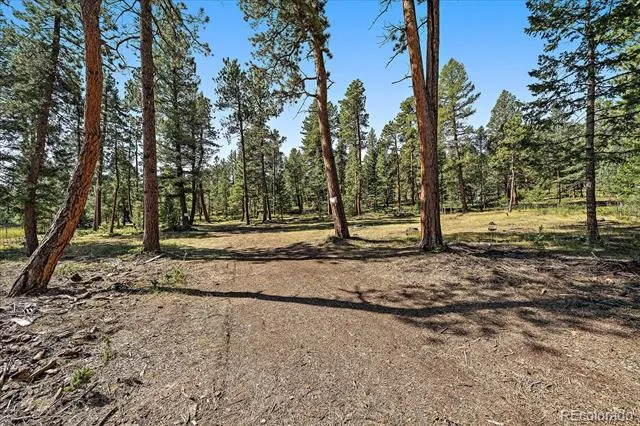 0 Evergreen Drive Conifer, CO 80433