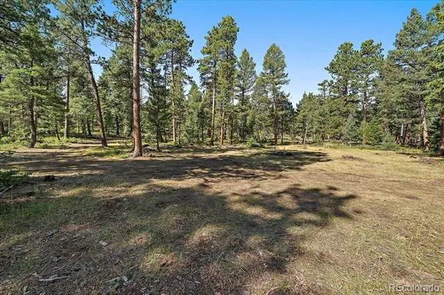 0 Evergreen Drive Conifer, CO 80433