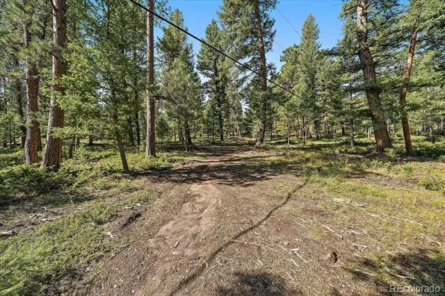 0 Evergreen Drive Conifer, CO 80433