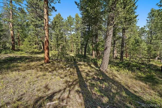 0 Evergreen Drive Conifer, CO 80433