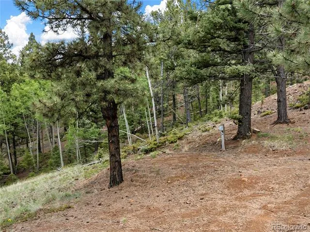 3043 County Road 1 Cripple Creek, CO 80813