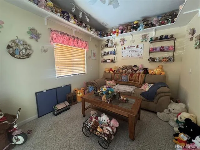 3177 Silver Fox Drive Montrose, CO 81401