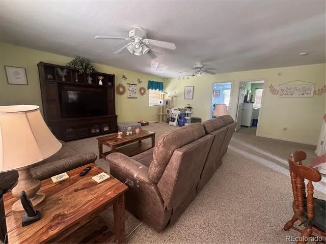 3177 Silver Fox Drive Montrose, CO 81401