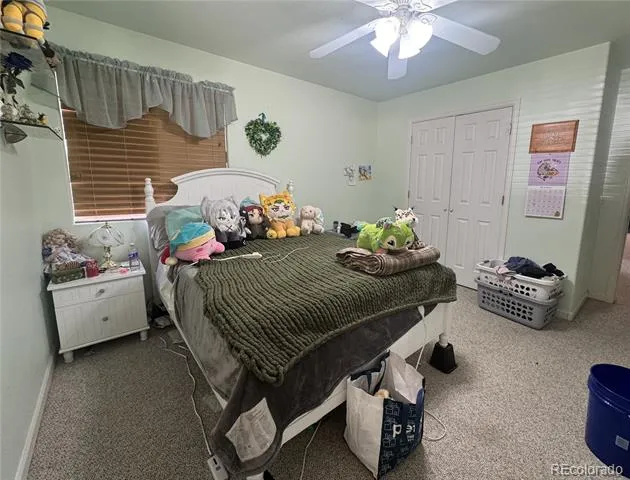 3177 Silver Fox Drive Montrose, CO 81401