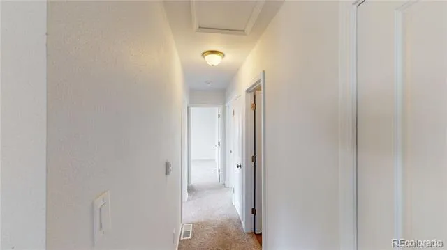 312 E 7th Street Leadville, CO 80461