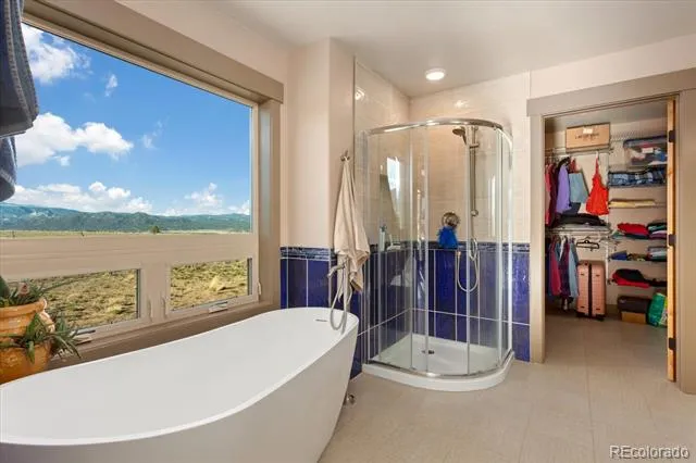 14543 Stagecoach Lane Buena Vista, CO 81211