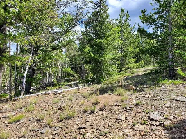 01 S Spring Gulch Road Idaho Springs, CO 80452
