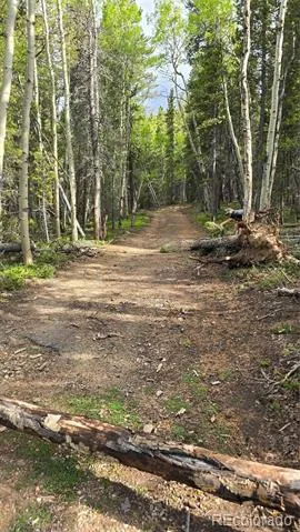 01 S Spring Gulch Road Idaho Springs, CO 80452
