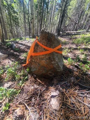 01 S Spring Gulch Road Idaho Springs, CO 80452