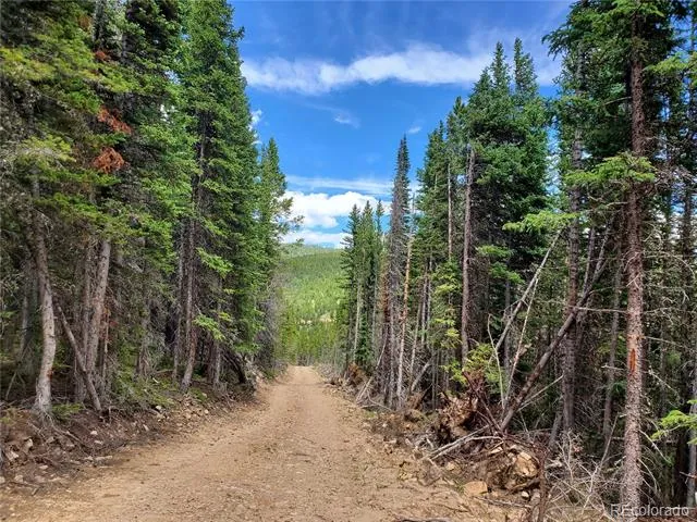 01 S Spring Gulch Road Idaho Springs, CO 80452