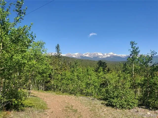 01 S Spring Gulch Road Idaho Springs, CO 80452
