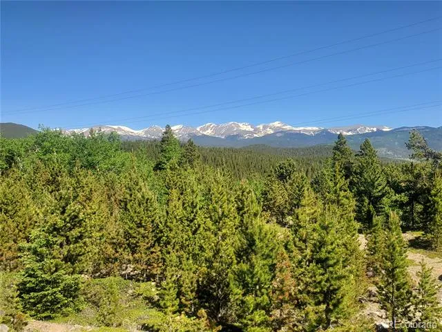01 S Spring Gulch Road Idaho Springs, CO 80452