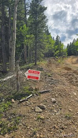 01 S Spring Gulch Road Idaho Springs, CO 80452