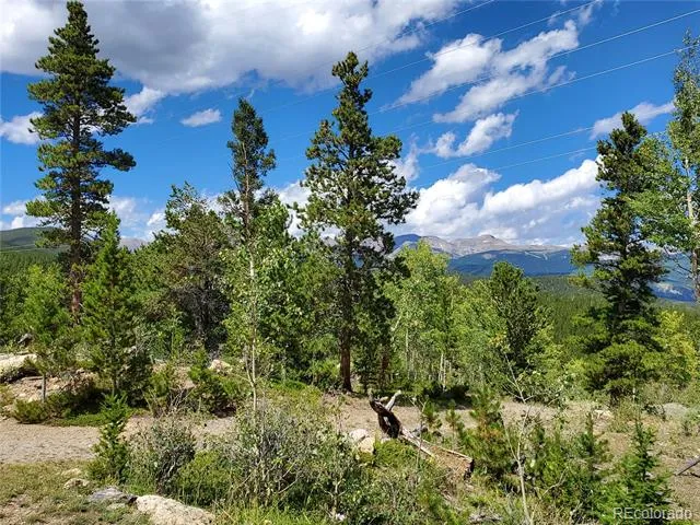 01 S Spring Gulch Road Idaho Springs, CO 80452