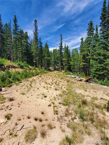 01 S Spring Gulch Road Idaho Springs, CO 80452
