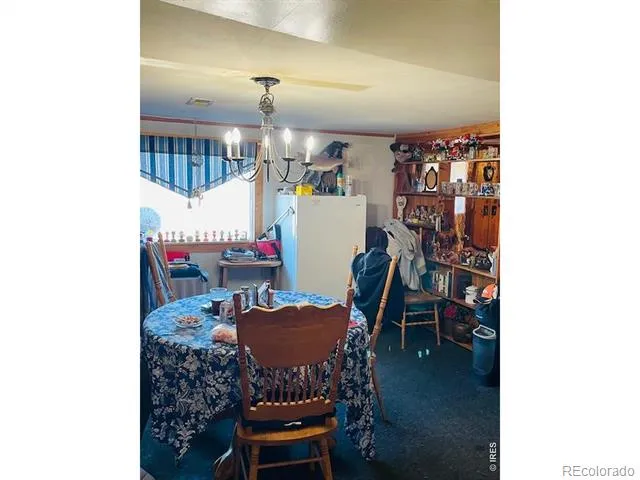 248 Lafever Street Walden, CO 80480