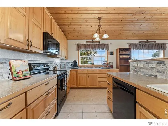 167 Rawah Court Livermore, CO 80536