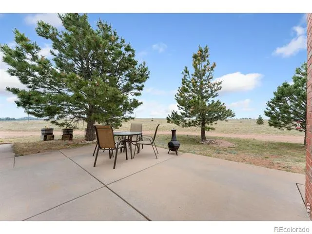 167 Rawah Court Livermore, CO 80536