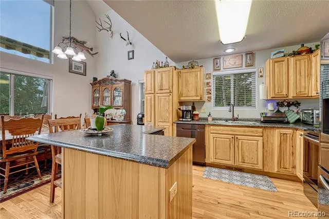 744 Whale Drive Lake George, CO 80827