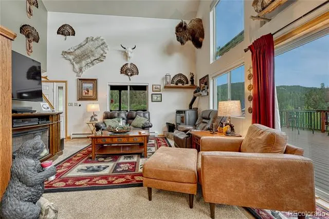 744 Whale Drive Lake George, CO 80827
