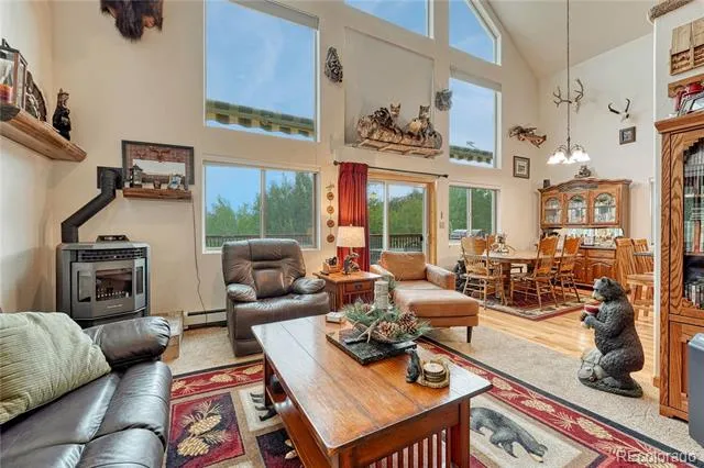 744 Whale Drive Lake George, CO 80827