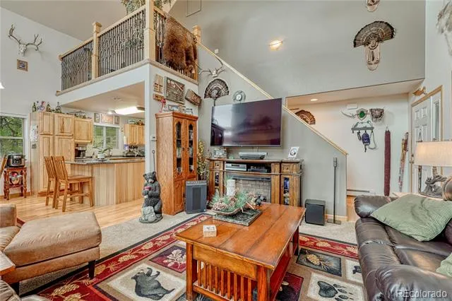 744 Whale Drive Lake George, CO 80827