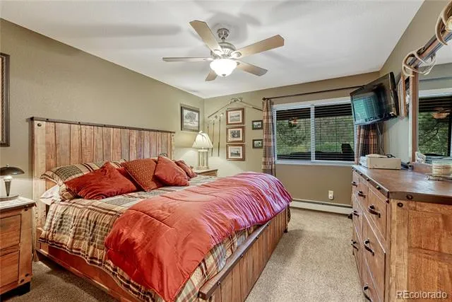 744 Whale Drive Lake George, CO 80827