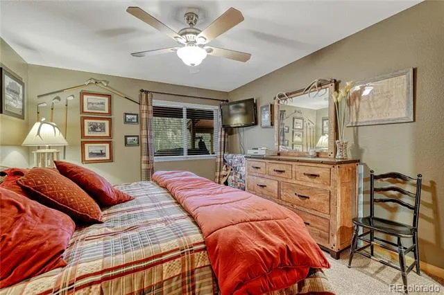 744 Whale Drive Lake George, CO 80827