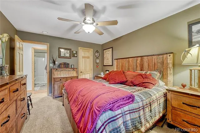 744 Whale Drive Lake George, CO 80827