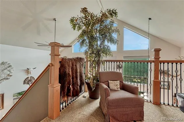 744 Whale Drive Lake George, CO 80827