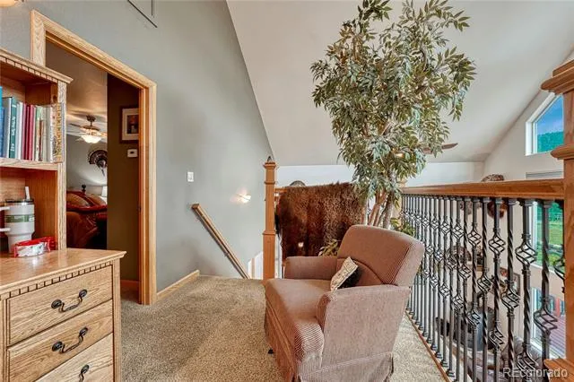 744 Whale Drive Lake George, CO 80827
