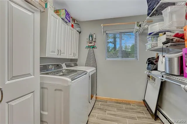 744 Whale Drive Lake George, CO 80827