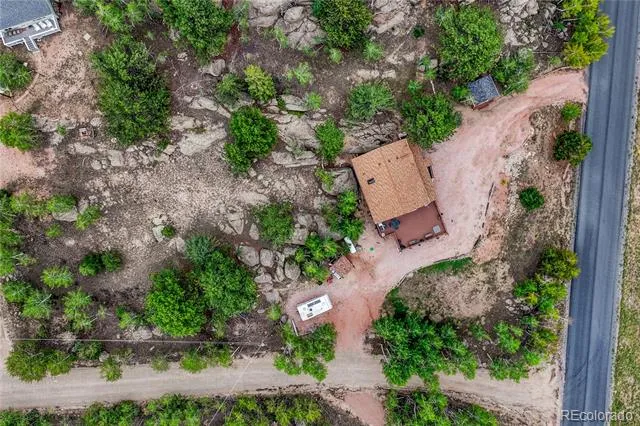 744 Whale Drive Lake George, CO 80827
